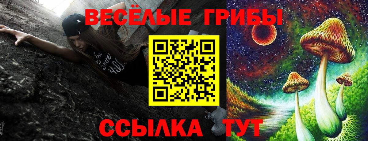 Севастополь  Псилоцибиновые грибы Psilocybine cubensis  Вход с VPN 