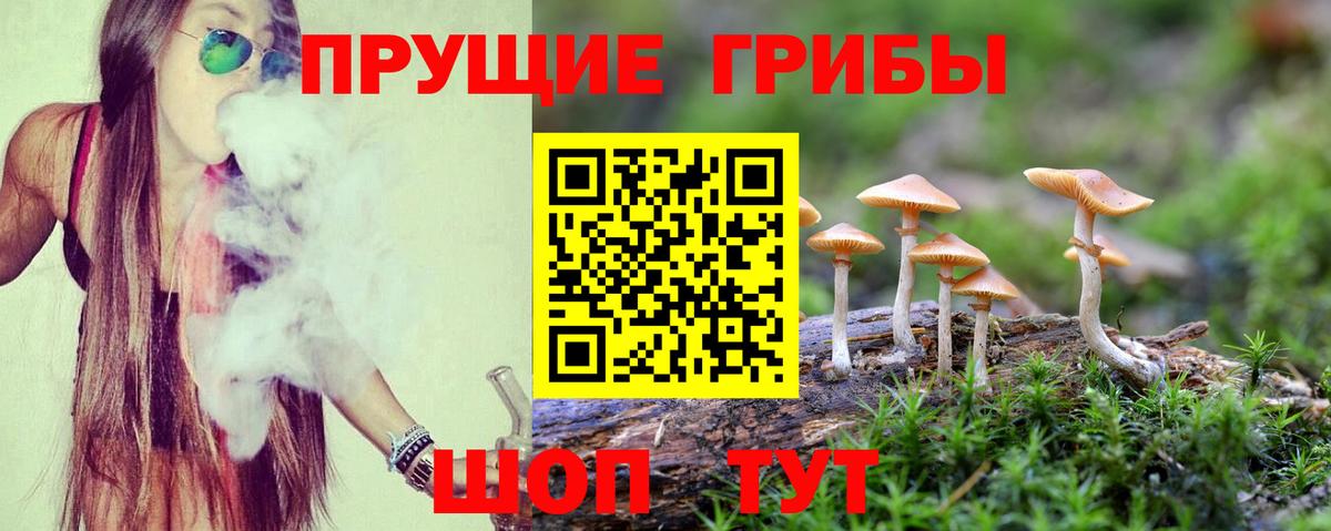 Галлюциногенные грибы прущие грибы Севастополь